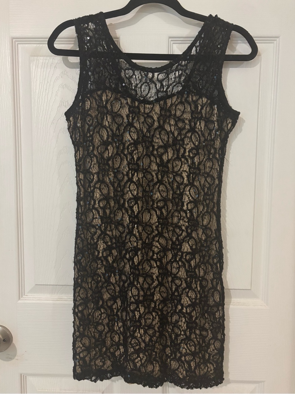 Shasa Black Lace  Sheath Dress with Nude Lining